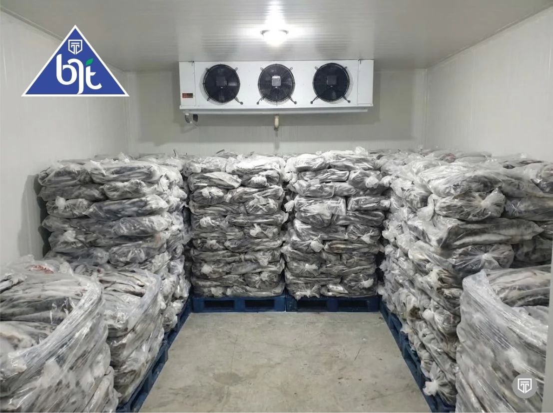 Pemanfaatan Cold Storage Freezer atau Blast Freezer untuk Ikan Tangkap